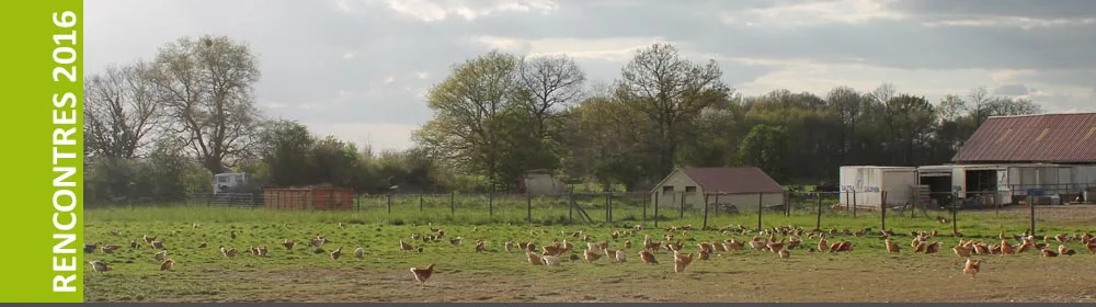 Ateliers et échanges entre paysans