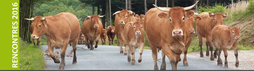 Agriculture biologique en Europe