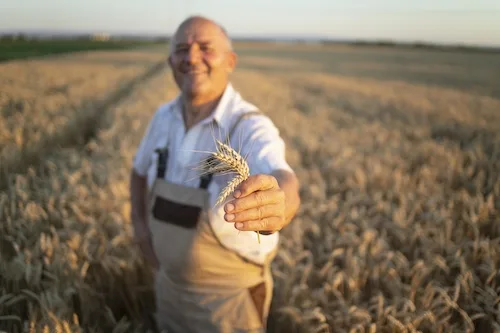 Agriculture Ukraine